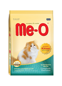 Meo Persian kitten