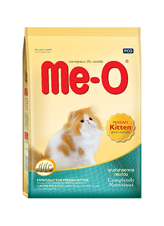 Meo Persian kitten