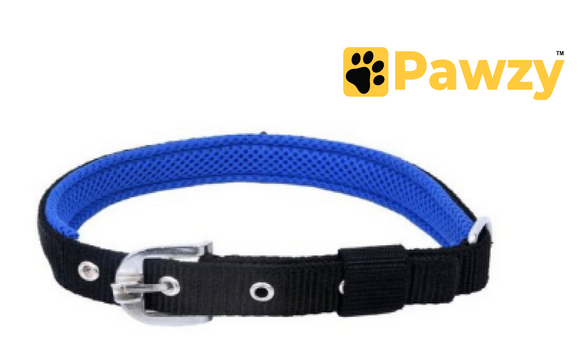 Pawzy PP Collar