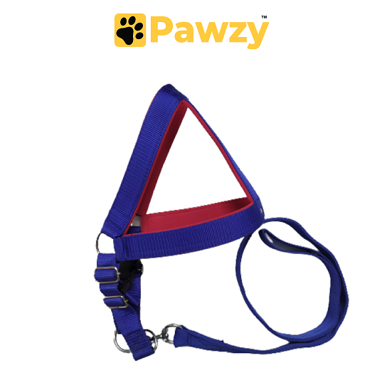 Pawzy Padded Harness with Leash Set