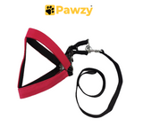 Pawzy Padded Harness with Leash Set