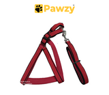 Pawzy Padded Harness with Leash Set