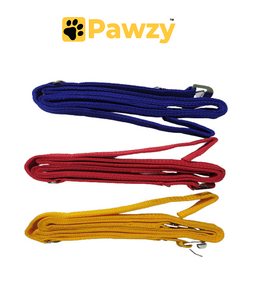 Pawzy PP Collar Leash Set