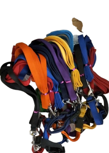 Pet's Pot Collar & Leash Set 12MM- Assorted