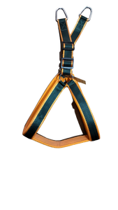 CN Adjustable Harness without Leash