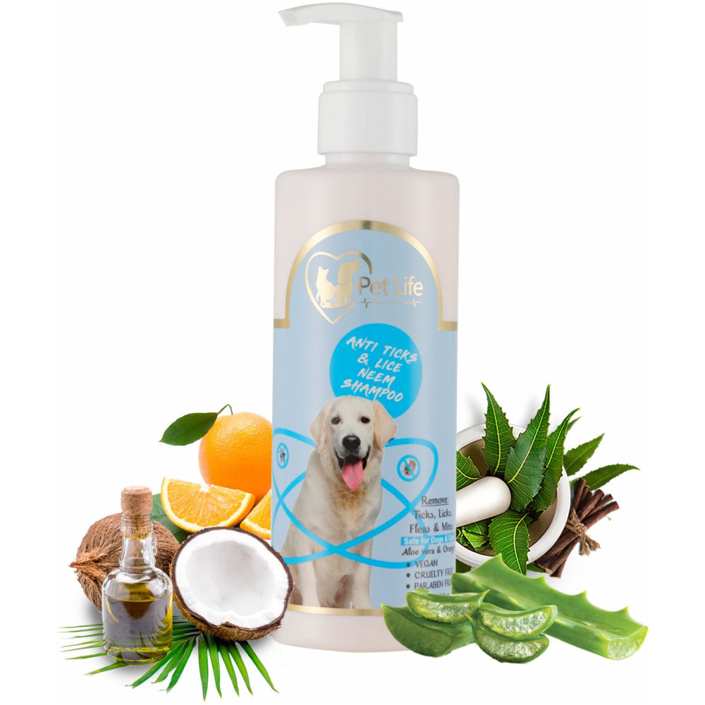 Shampoo for outlet lice for dogs