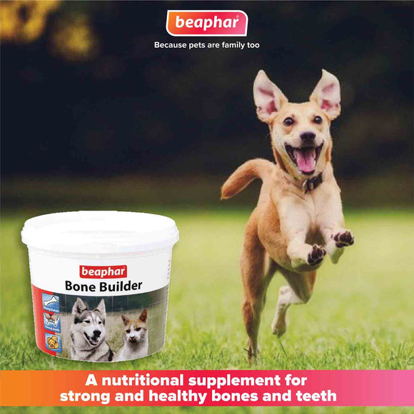 Bone builder dog store supplement