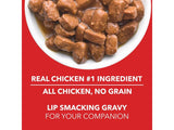 Drools Puppy Real Chicken & Liver (Pouch) 150 gm 30 pcs box