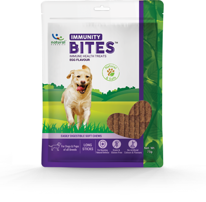 Natural Remedies Immunity Bites Health Treats - Egg Flavour