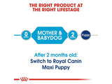 Royal Canin Maxi Starter Dry Dog Food