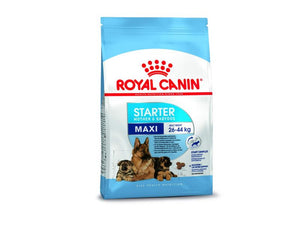 Royal Canin Maxi Starter Dry Dog Food