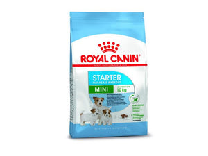 Royal Canin Mini Breed Puppy Starter for Mother&Puppy