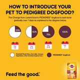 Pedigree Meat & Rice Adult Dog Food