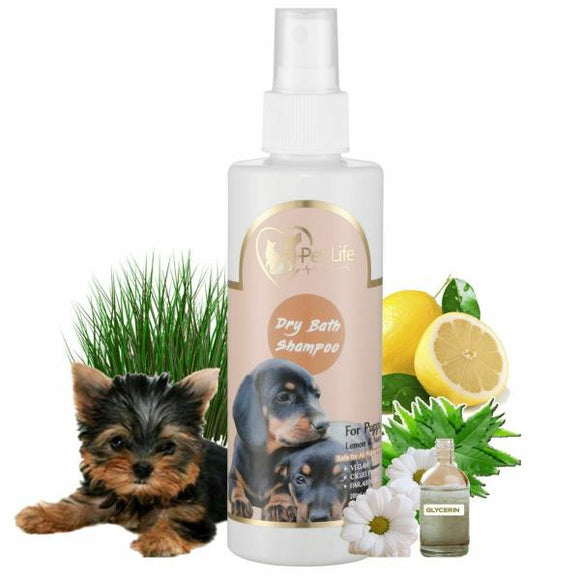 Dry bath shop shampoo for dogs