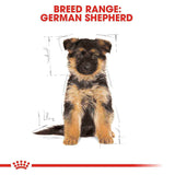 Royal Canin Puppy German Shepherd dry dog food 12 KG