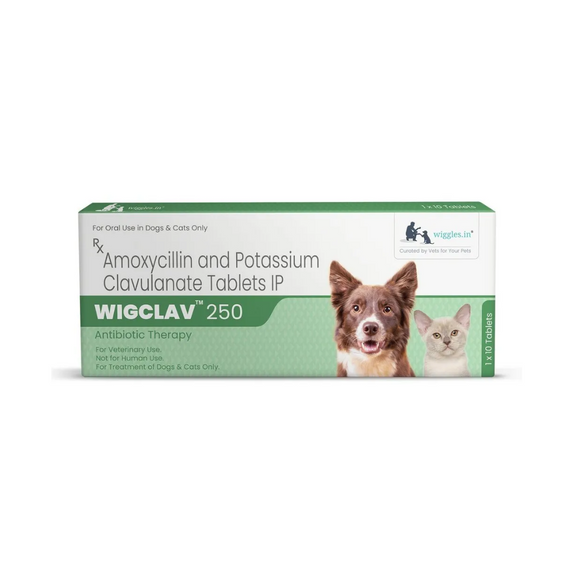 Wigclav – 250 Antibiotic Tablets